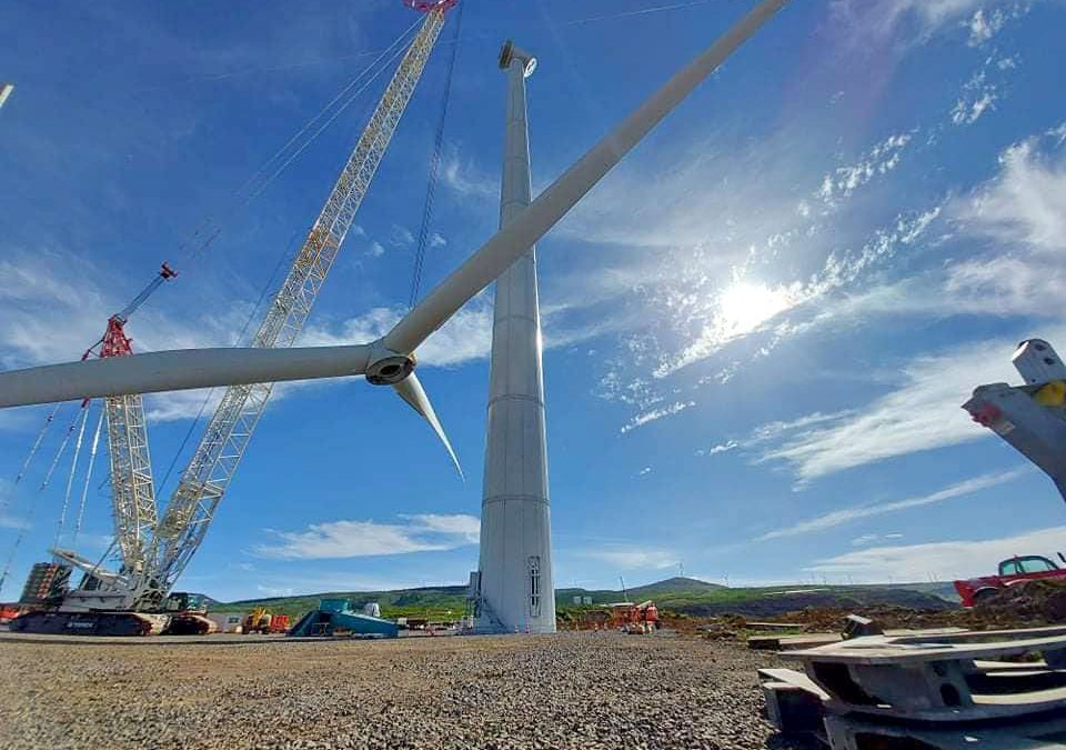 Parque Eólico Alecrim-Urze