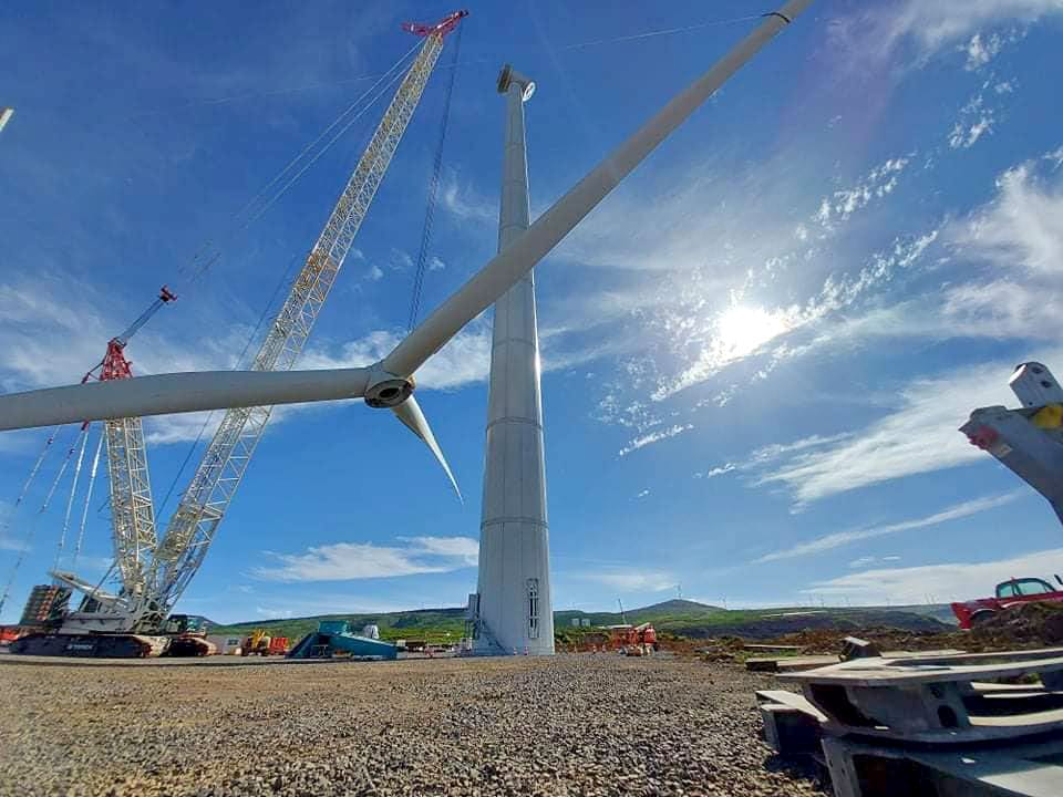 PE-do-Alecrim-e-Urse